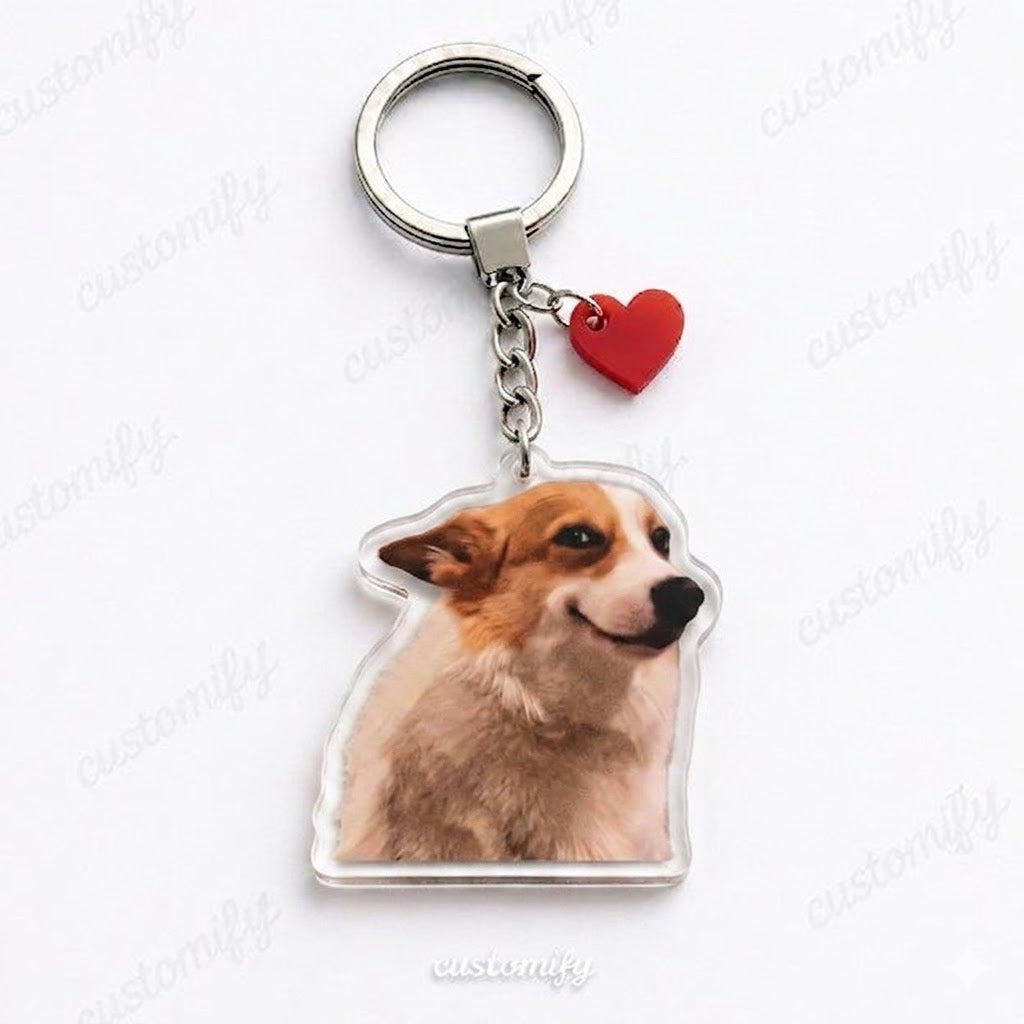 Smug Corgi