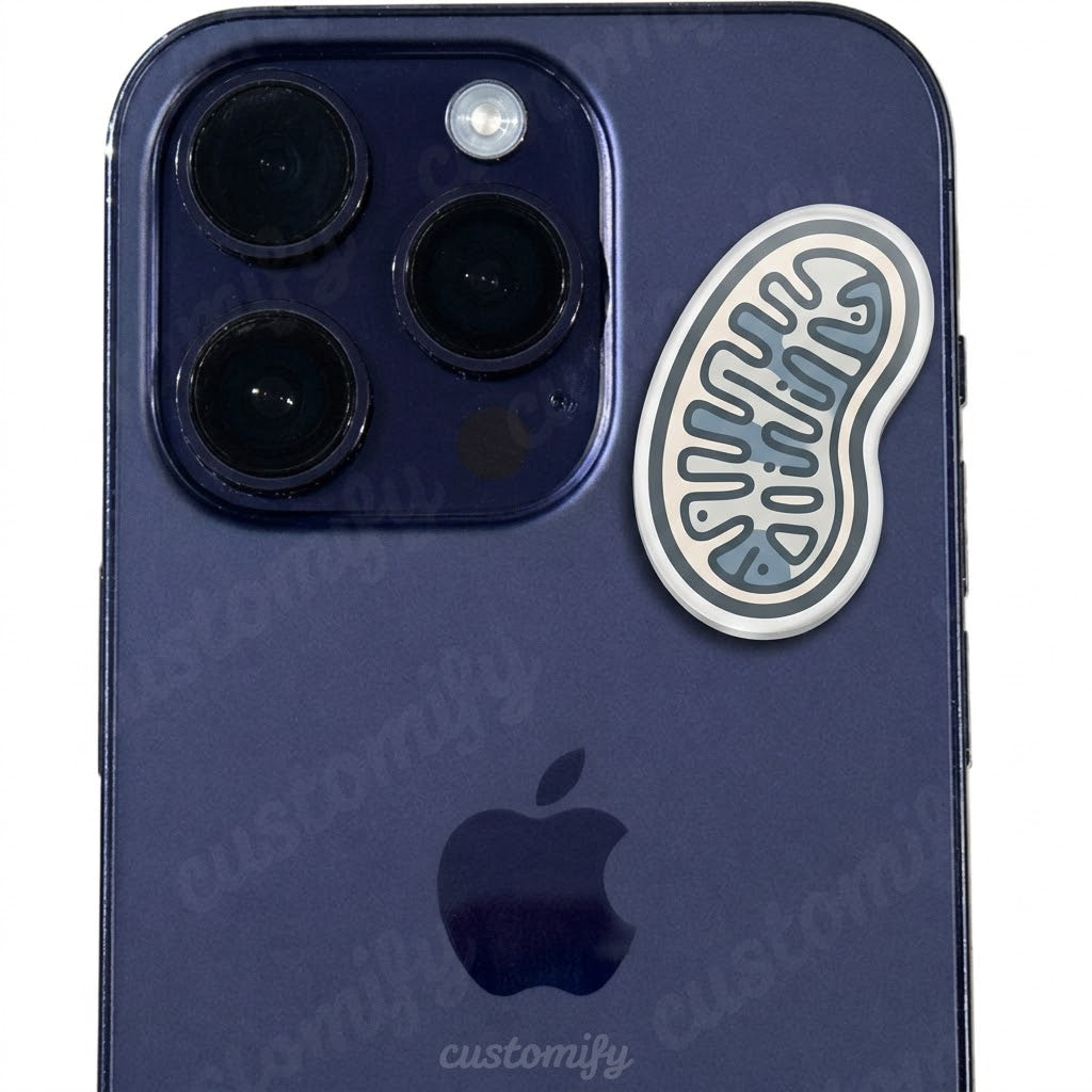 Mitochondria