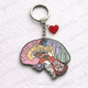 Labeled Human Brain