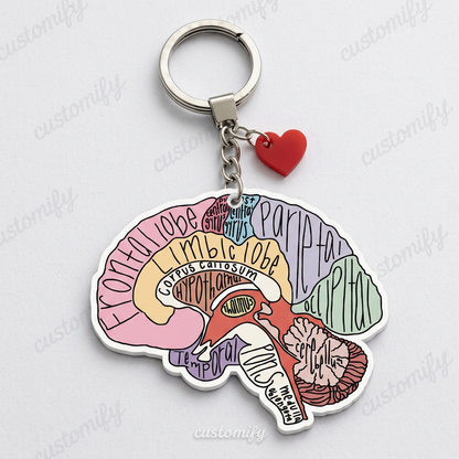 Labeled Human Brain