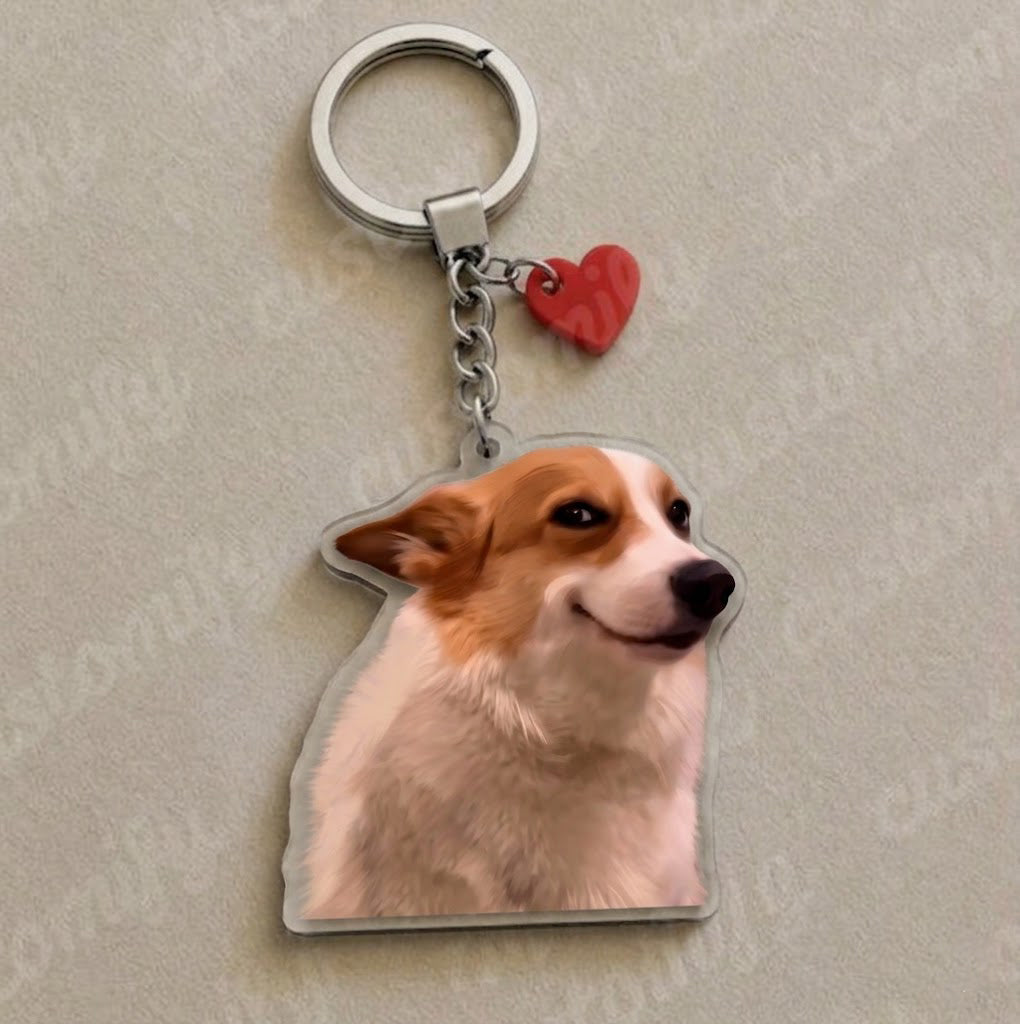Smug Corgi