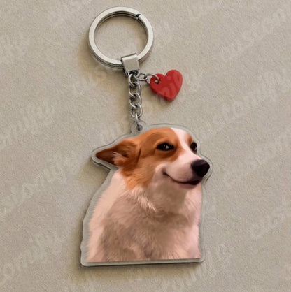 Smug Corgi