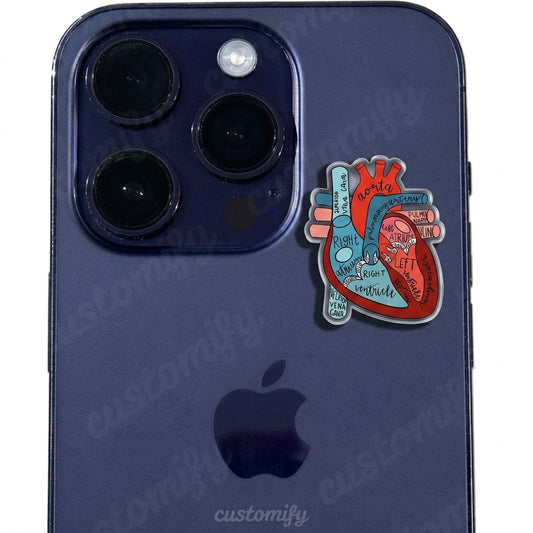 Anatomical Heart