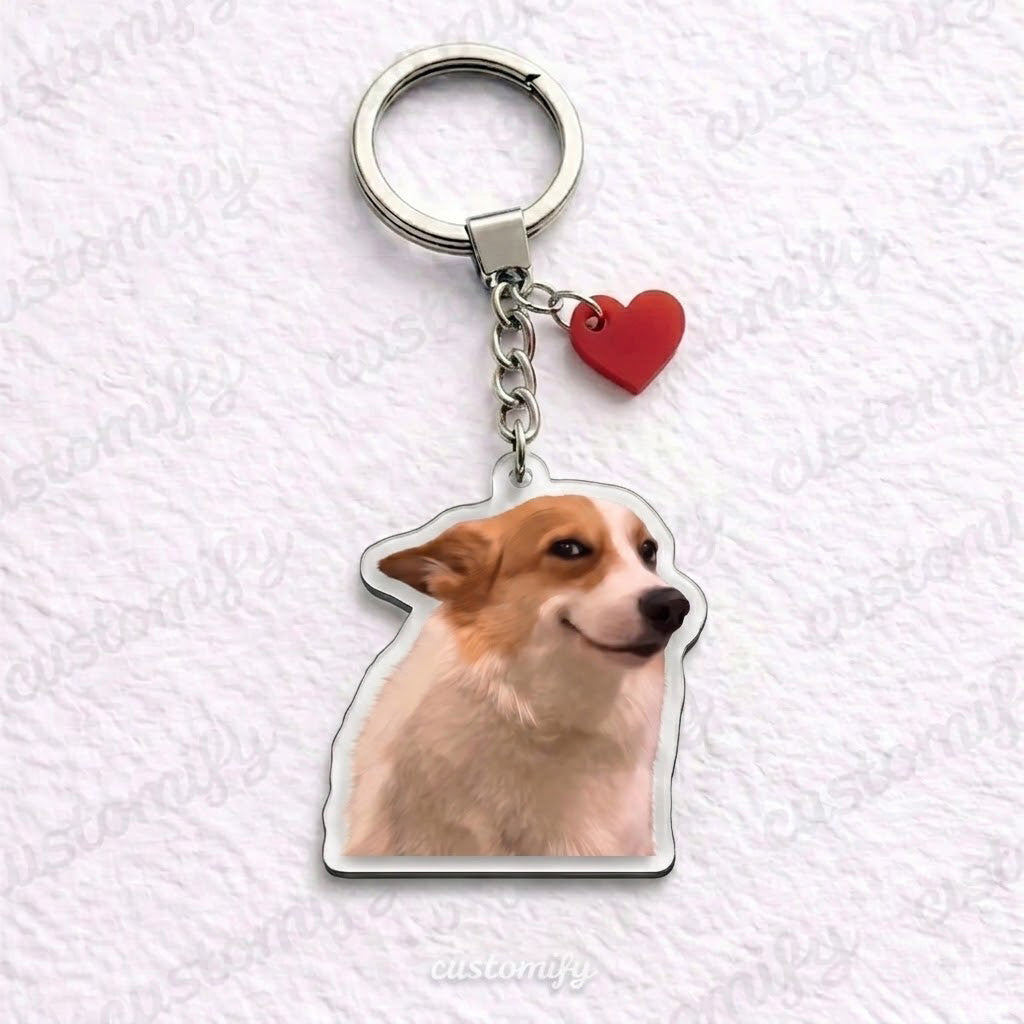 Smug Corgi